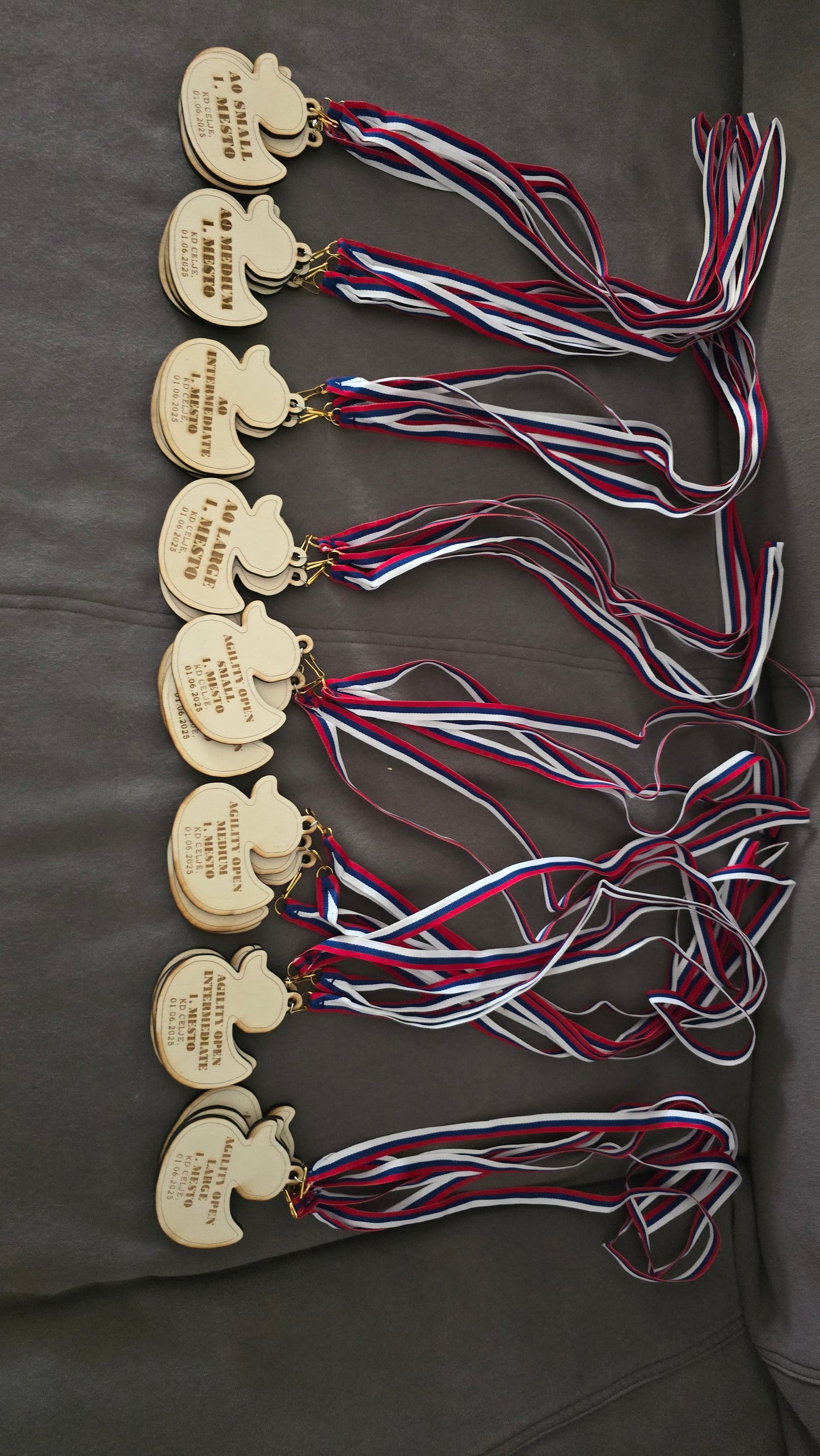 Medalja s trakom