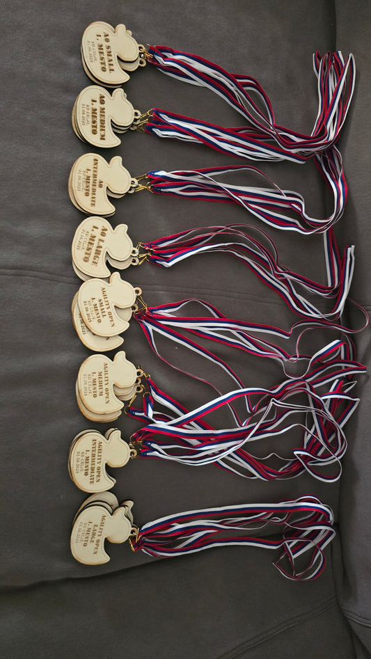 Medalja s trakom
