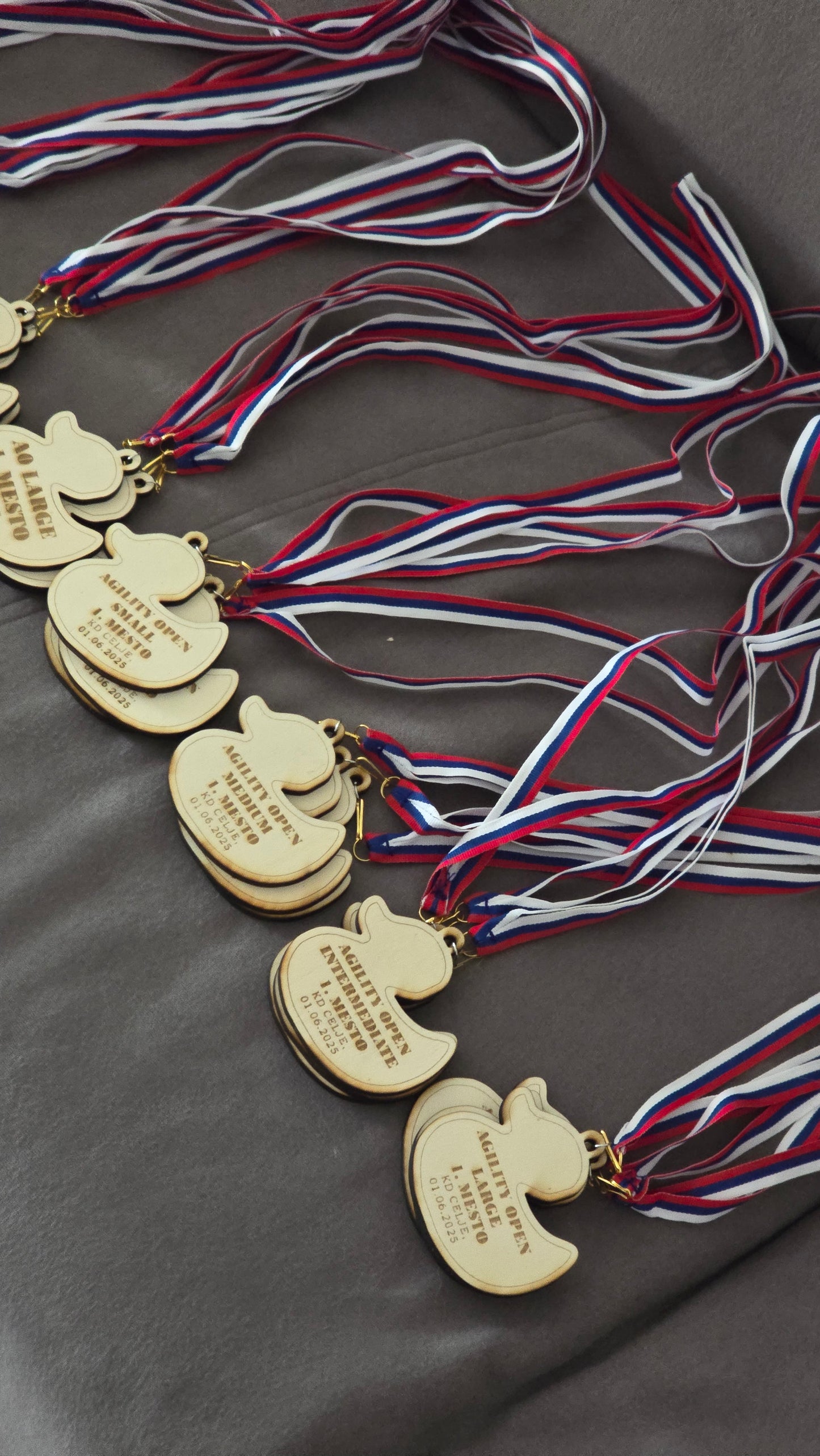 Medalja s trakom